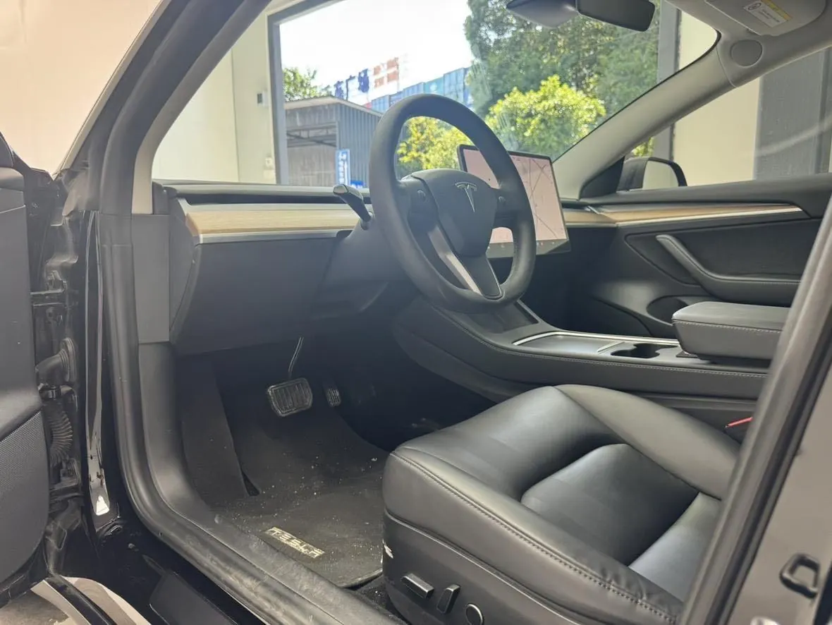 Tesla 2021 Model 3 Standard Endurance Rear Drive Upgraded Automatic Gear 4