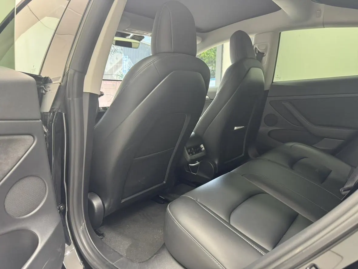 Tesla 2021 Model 3 Standard Endurance Rear Drive Upgraded Automatic Gear 7