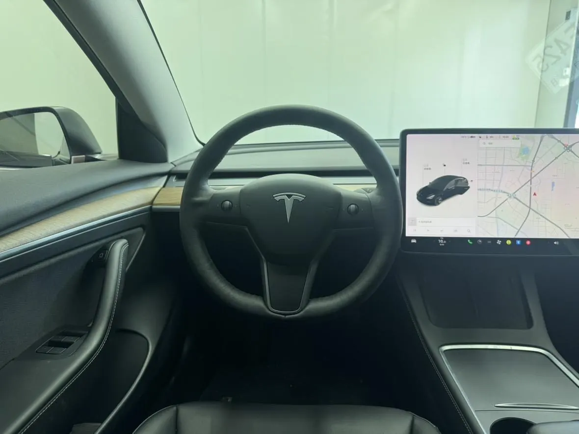 Tesla 2021 Model 3 Standard Endurance Rear Drive Upgraded Automatic Gear 9