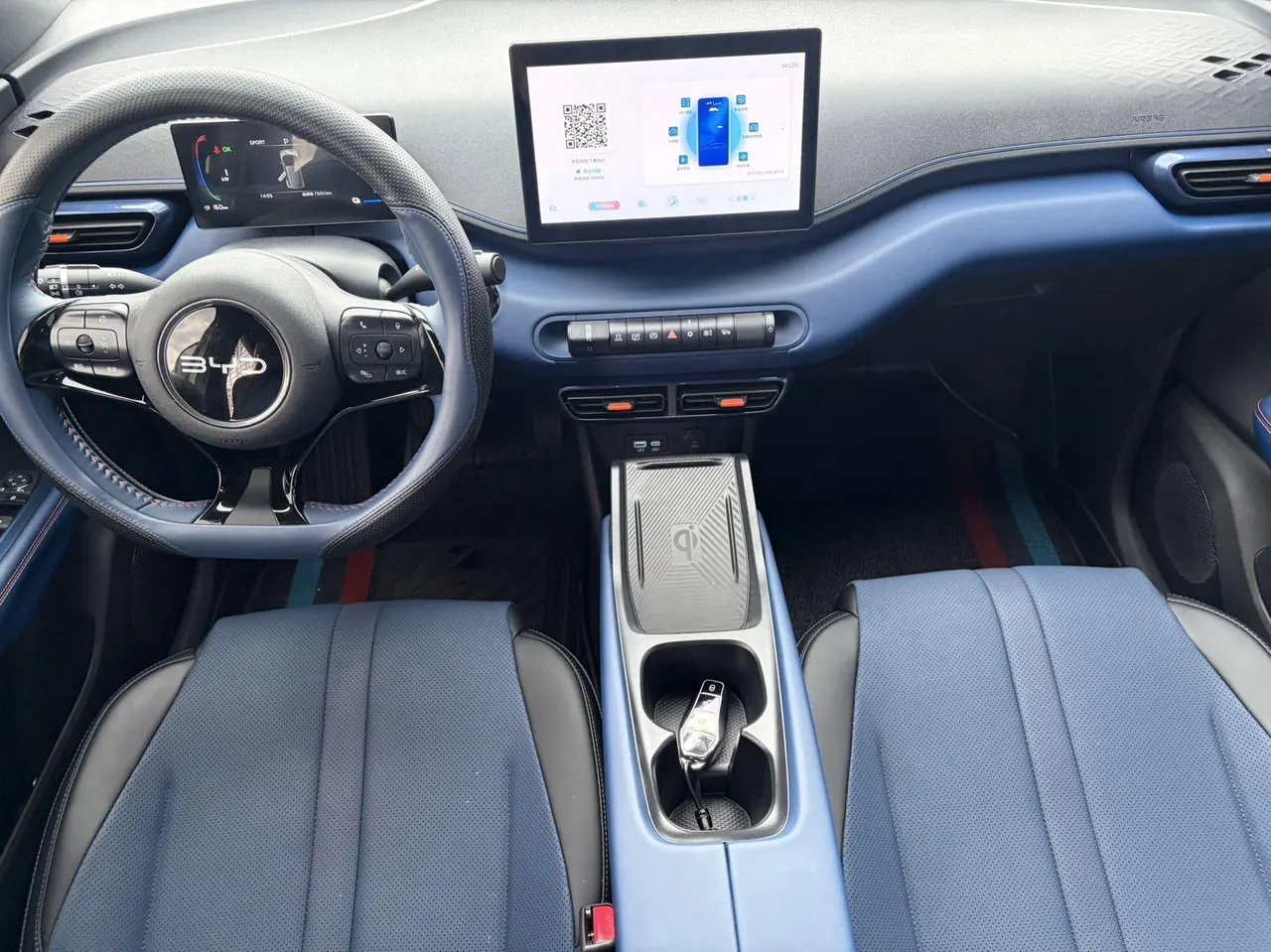 BYD 2025 seagulls 305km free version automatic gear 11
