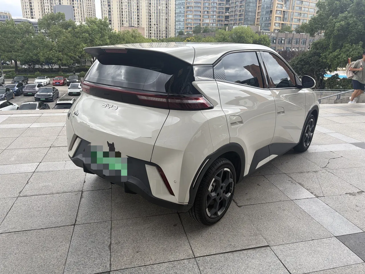 BYD 2025 seagulls 305km free version automatic gear 5
