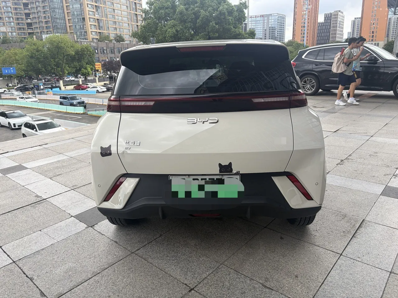 BYD 2025 seagulls 305km free version automatic gear 6