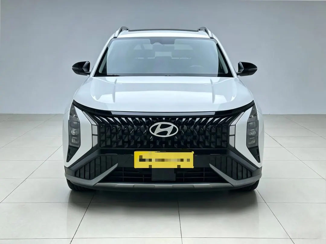 Hyundai 2023 MUFASA (Mu Sa) 2.0 LUX Premium Edition Automatic Gear 2
