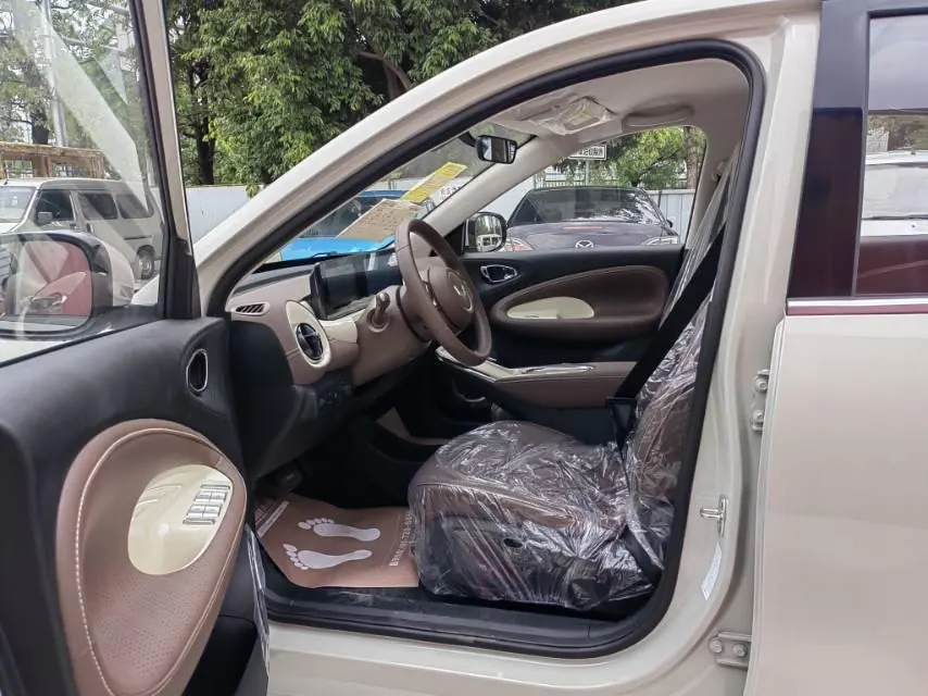 WuLing 2025 Plantronics 333km Enjoy Automatic Gear 3