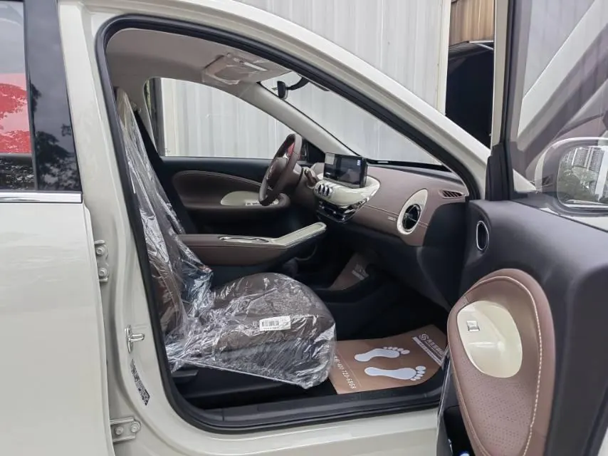 WuLing 2025 Plantronics 333km Enjoy Automatic Gear 4