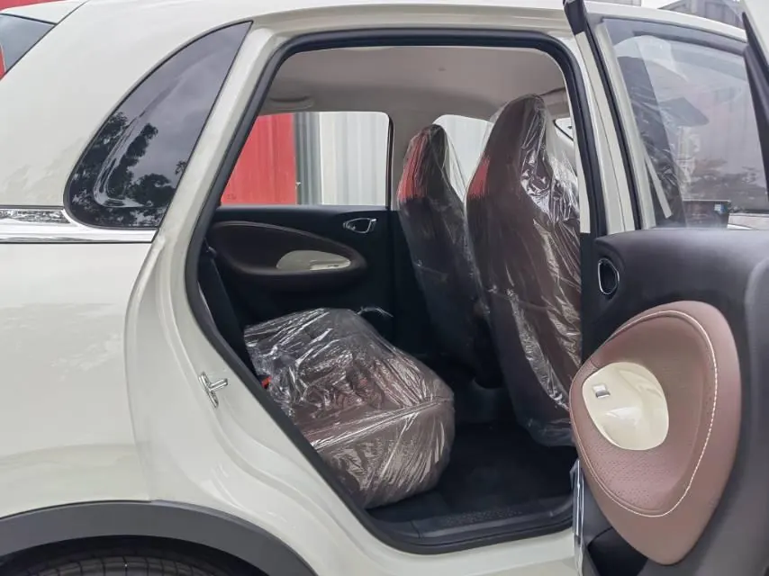 WuLing 2025 Plantronics 333km Enjoy Automatic Gear 5