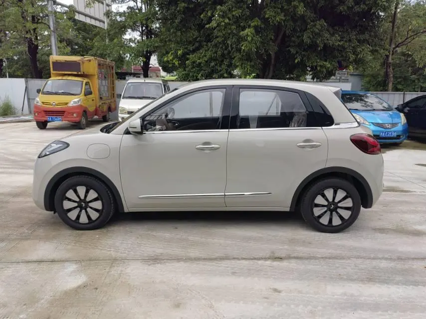 WuLing 2025 Plantronics 333km Enjoy Automatic Gear 6