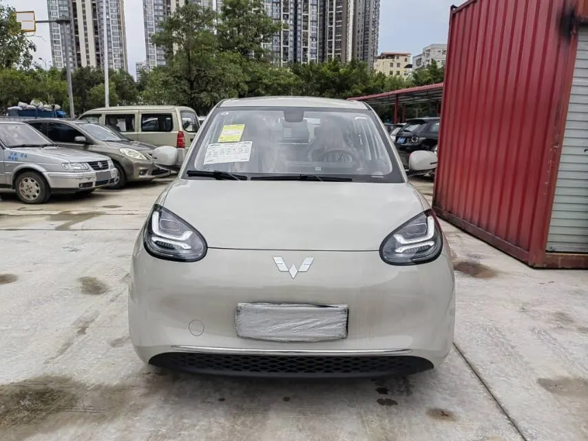 WuLing 2025 Plantronics 333km Enjoy Automatic Gear 7