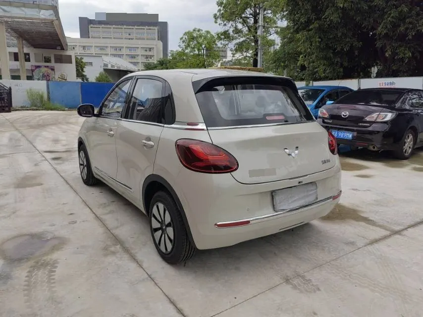 WuLing 2025 Plantronics 333km Enjoy Automatic Gear 9