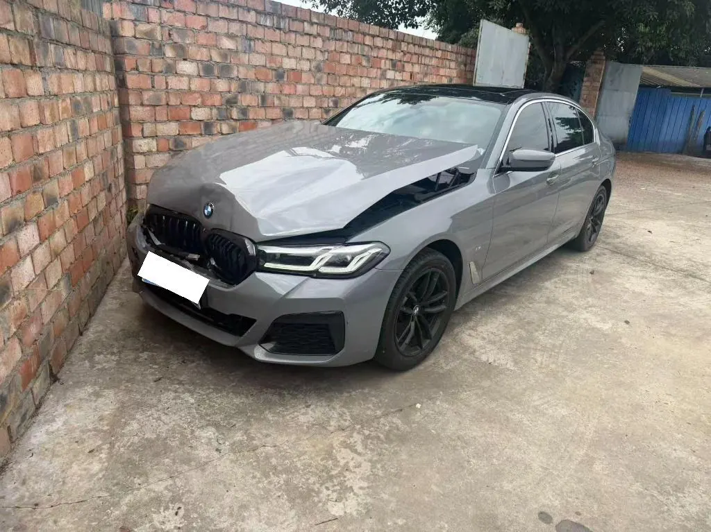 BMW 5 Series 2022 525Li 2.0T M Sports Suit (Change 2) Automatic Gear 10