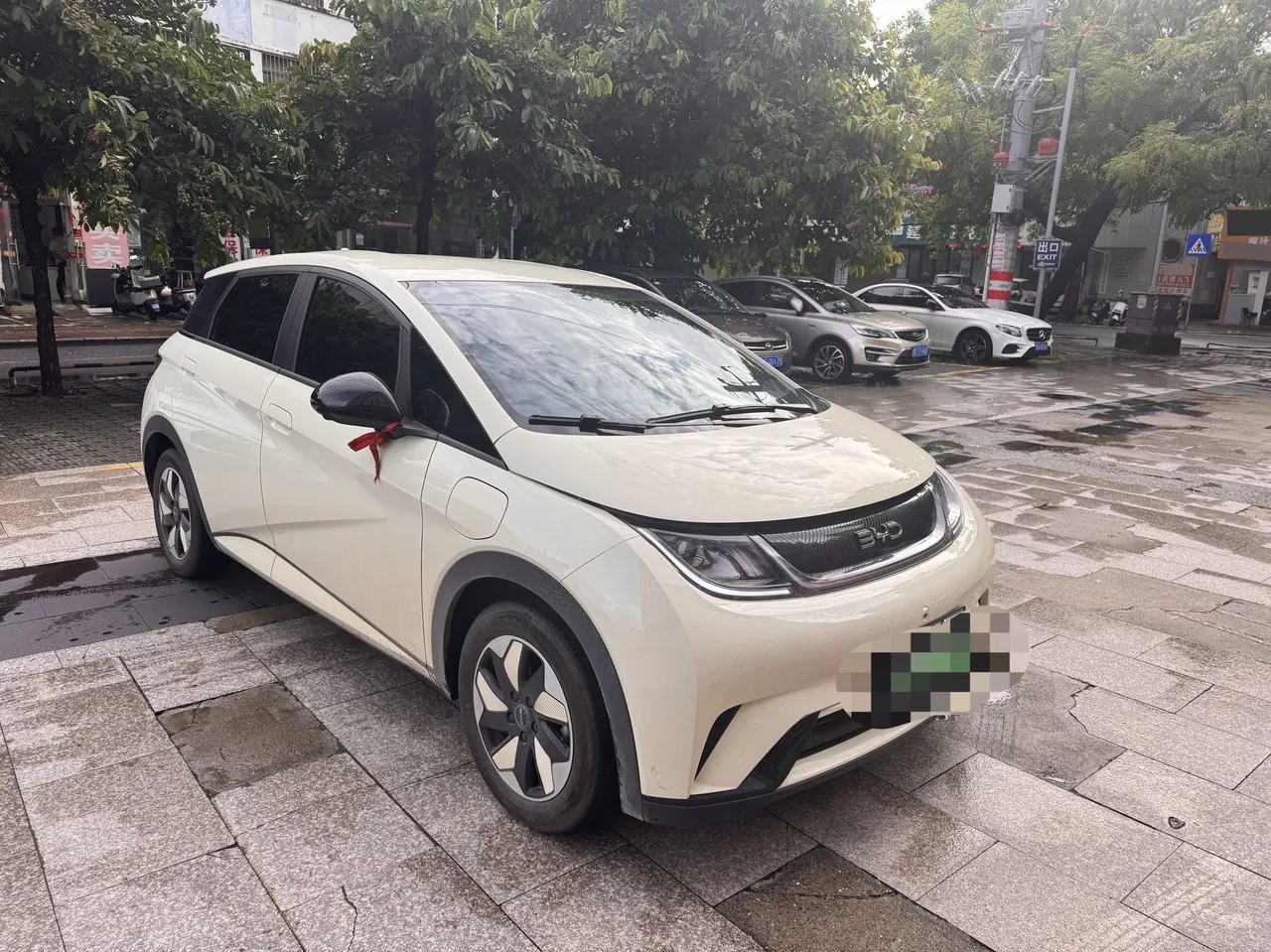 BYD 2025 Dolphins 420km Free Edition Automatic 2