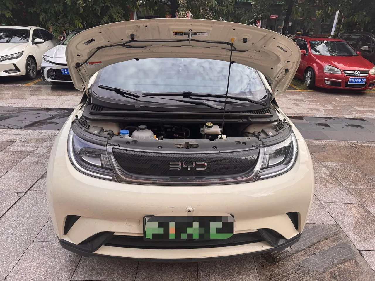 BYD 2025 Dolphins 420km Free Edition Automatic 3