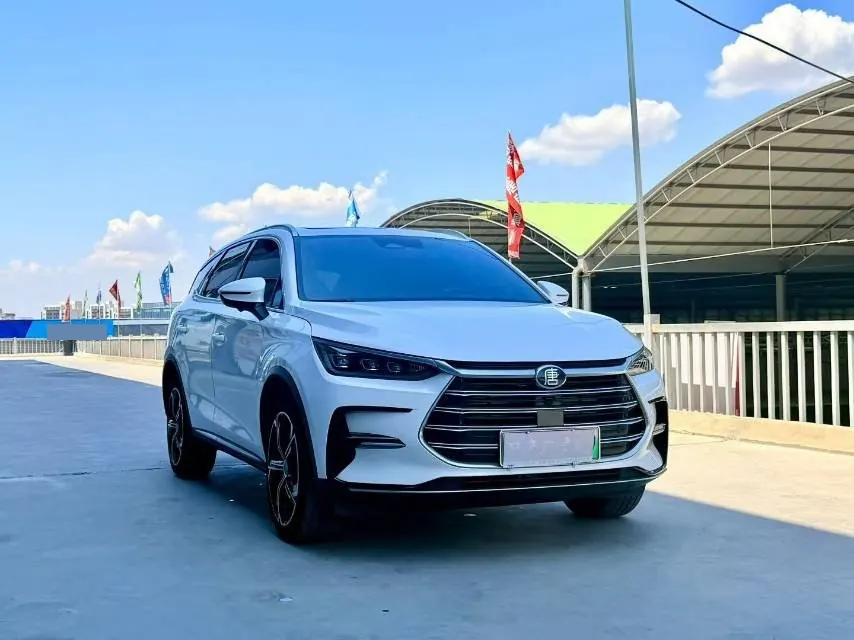 BYD Tang New Energy 2021 Tang DM-i 1.5T Stepless 112KM Honorable Automatic Gear 3