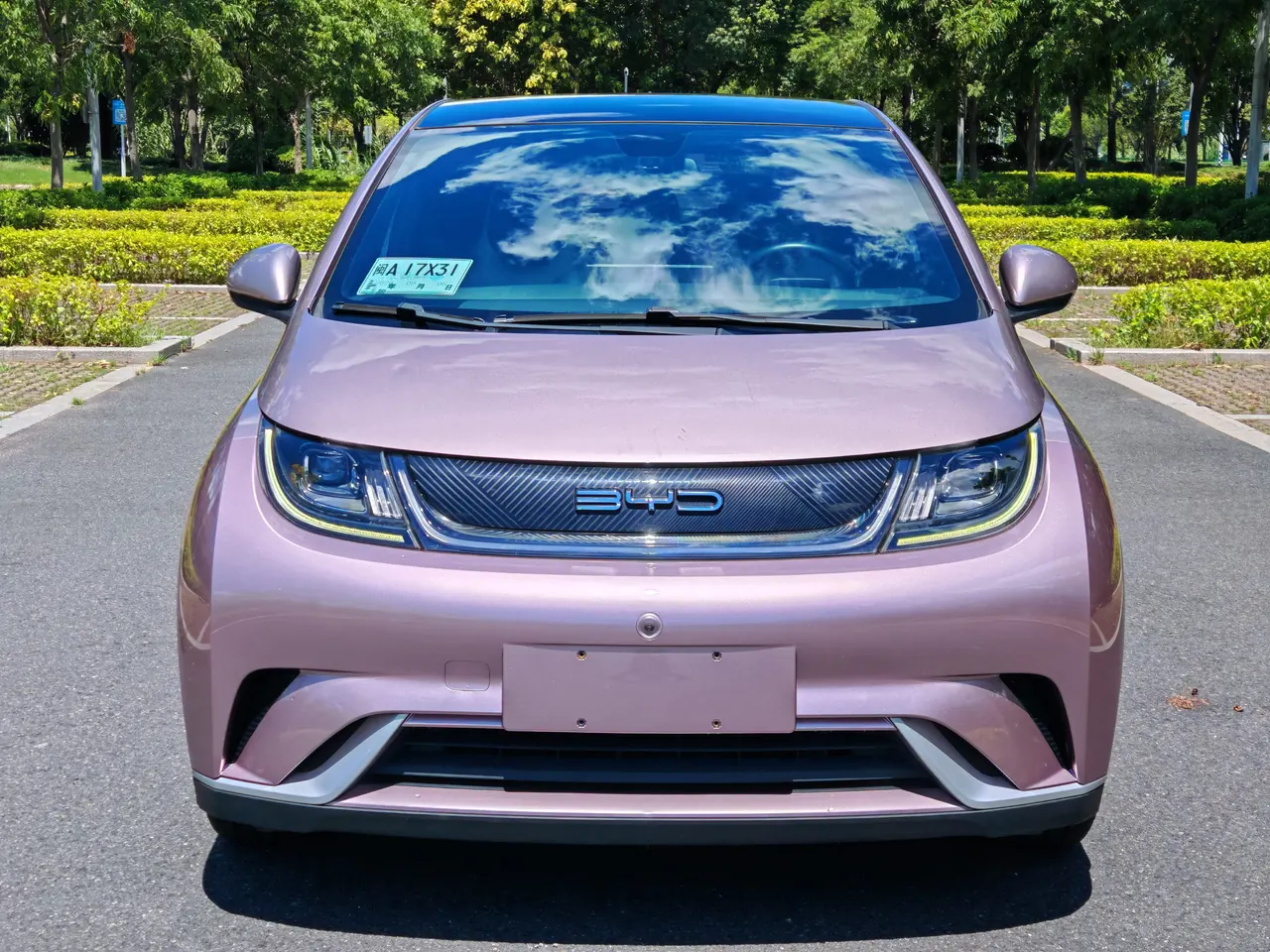 BYD 2021 Dolphin 405km Fashion Edition Automatic 2