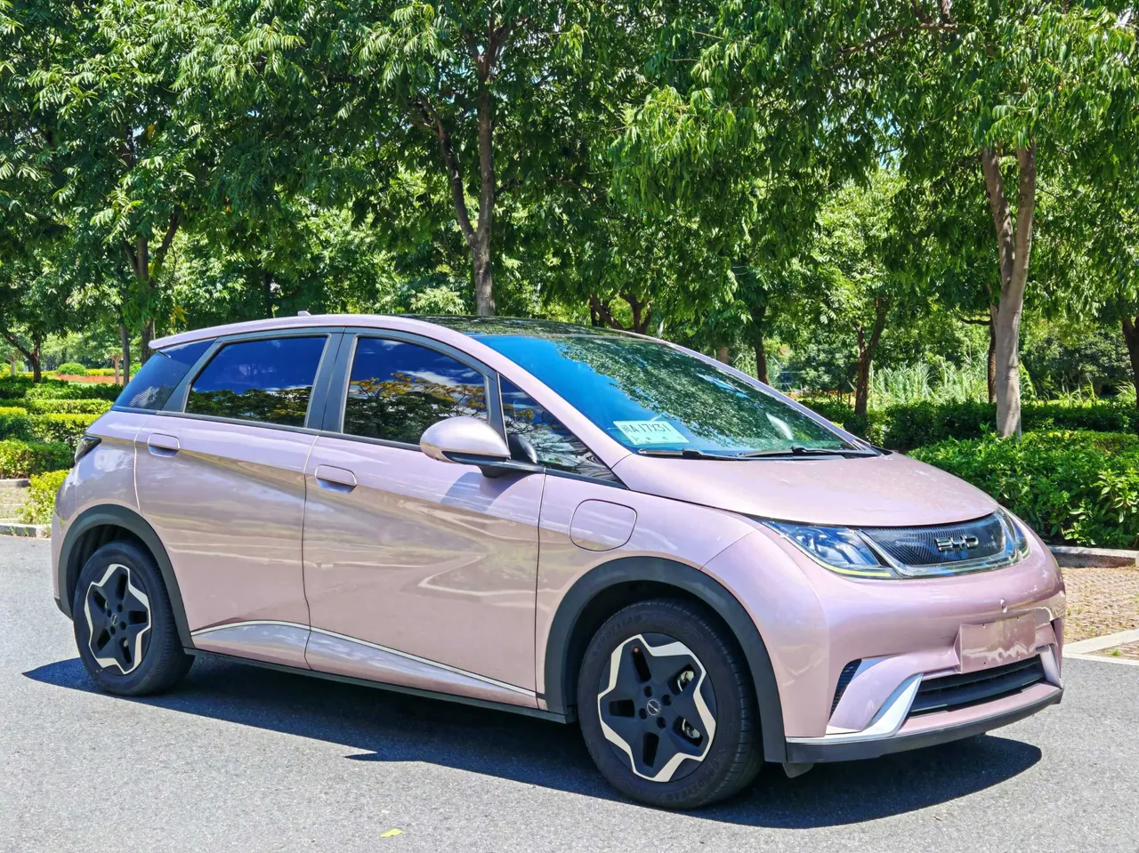 BYD 2021 Dolphin 405km Fashion Edition Automatic 3