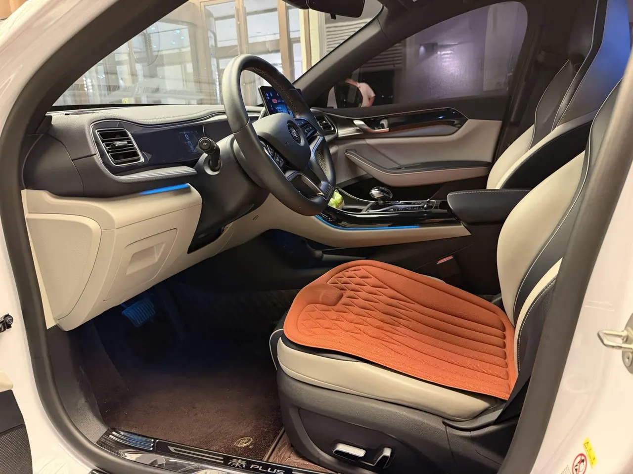 BYD 2021 Qin PLUS EV 500KM Luxury Automatic Gear 8
