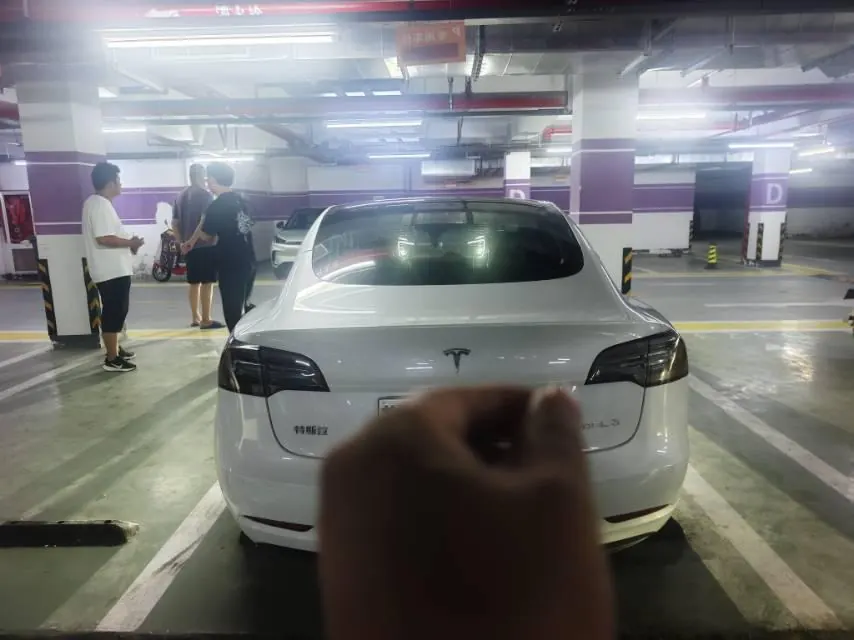 Tesla 2020 Model 3 Standard Endurance Rear Drive Upgrade (Modified) Automatic Gear 3