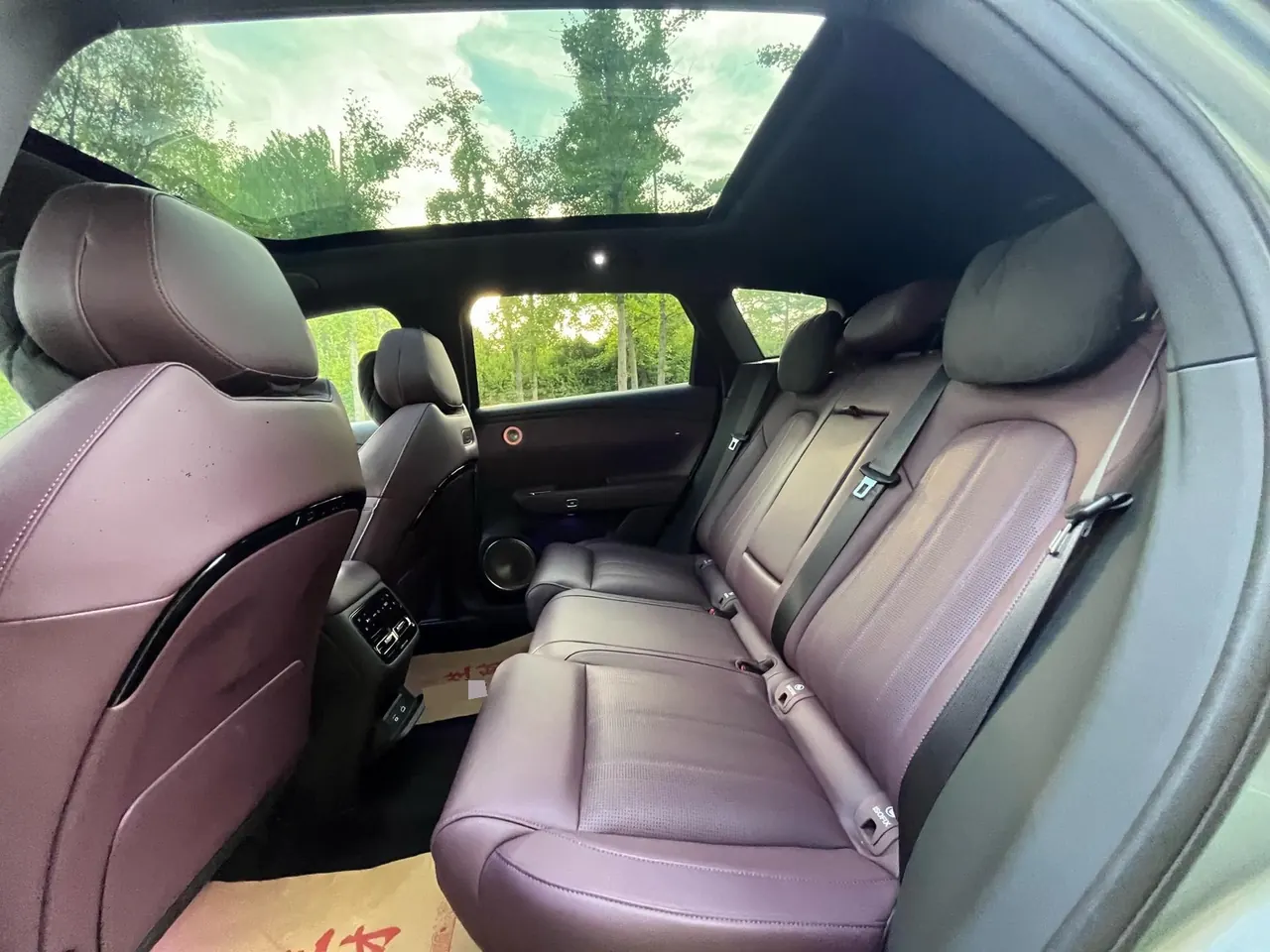 Voyah 2025 FREE Rear Drive Dry Kun Edition Automatic Gear 9