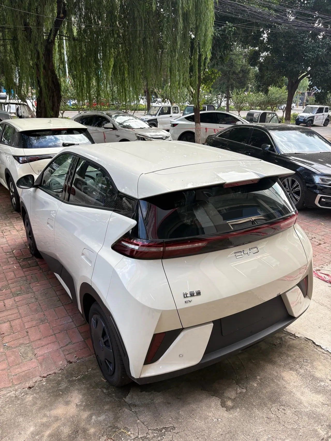 BYD 2025 seagulls 305km dynamic version of automatic gear 5