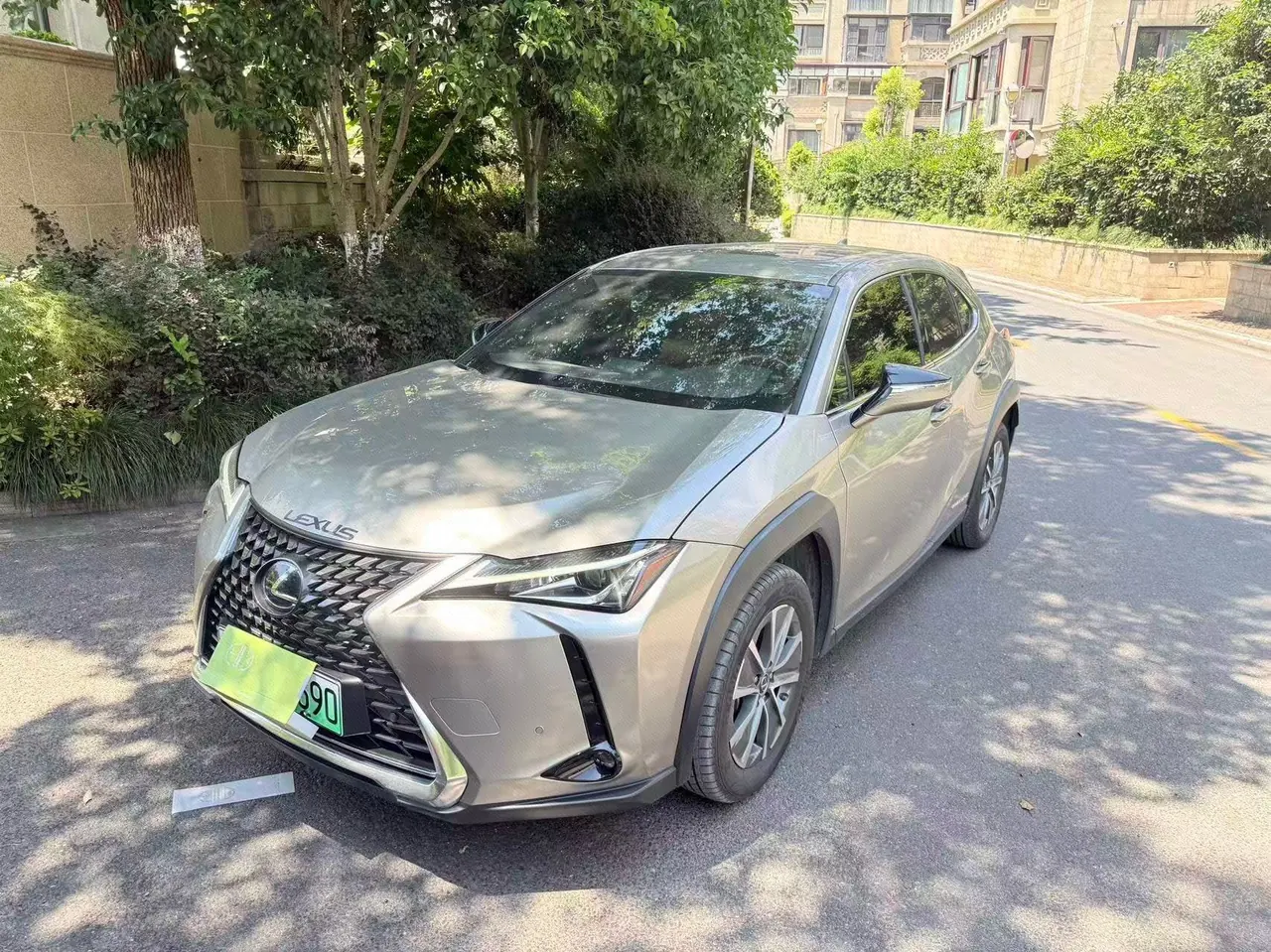 Lexus UX New Energy (Imported) 2020 UX 300e Pure Yue Edition Automatic Gear - View 1
