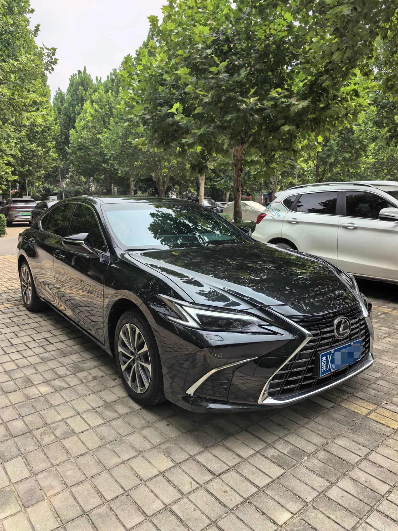 Lexus ES (Imported) 2026 ES200 2.0 Stepless Moon Shadow Double Color Special Edition Automatic Gear 2
