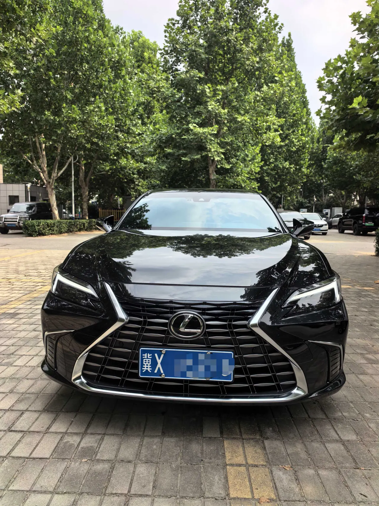 Lexus ES (Imported) 2026 ES200 2.0 Stepless Moon Shadow Double Color Special Edition Automatic Gear 3