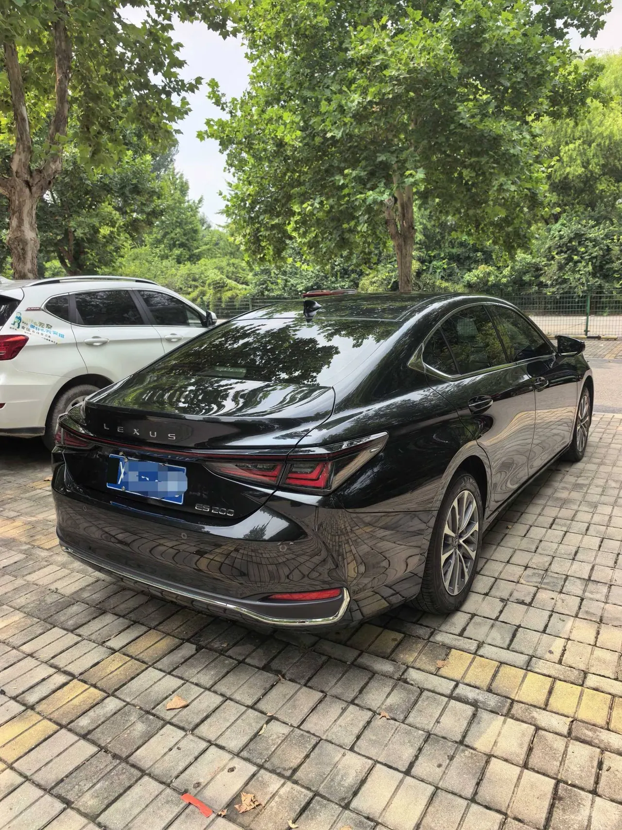 Lexus ES (Imported) 2026 ES200 2.0 Stepless Moon Shadow Double Color Special Edition Automatic Gear 5