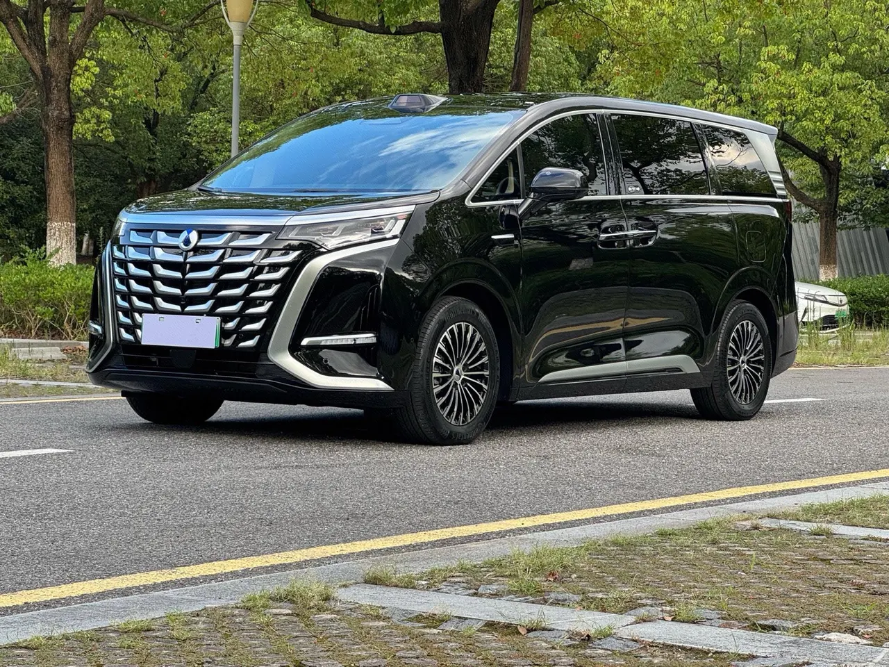 打开图片灯箱:Denza 2025 Denza D9 DM-i 1.5T stepless four-wheel drive automatic gear