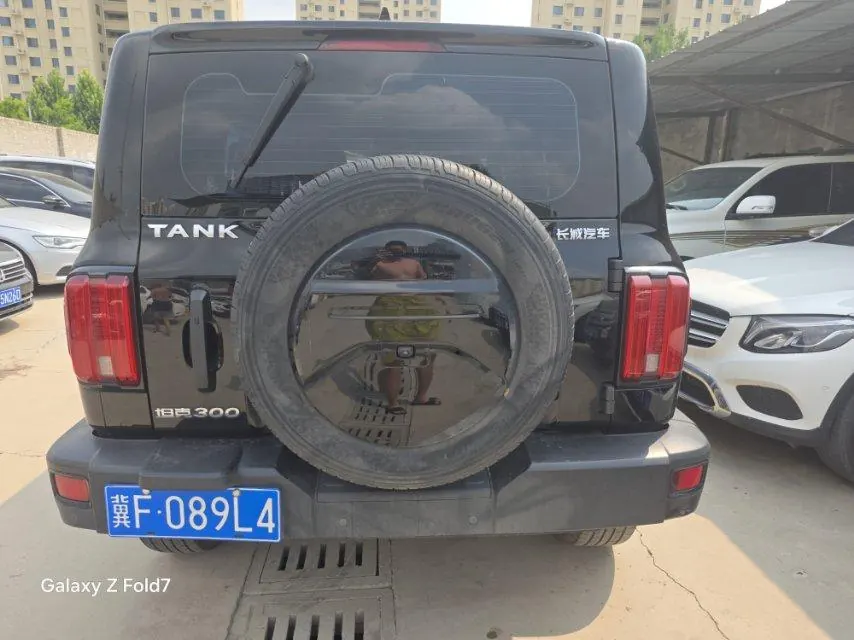 Tank 2021 Tank 300 2.0T Off-Road Challenger Automatic Gear 3