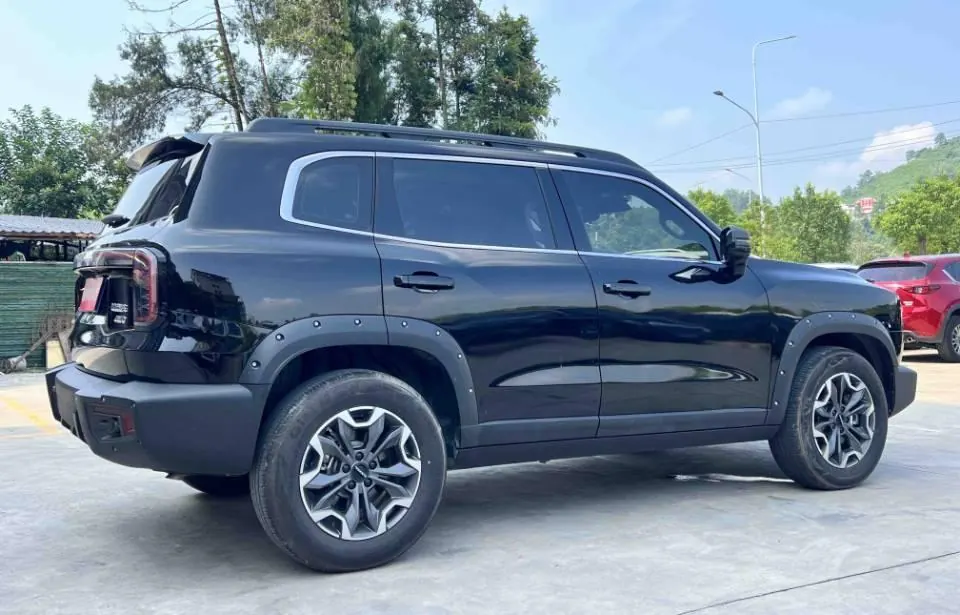 Haval 2024 big dog 2.0T Chinese garden dog version automatic gear 3