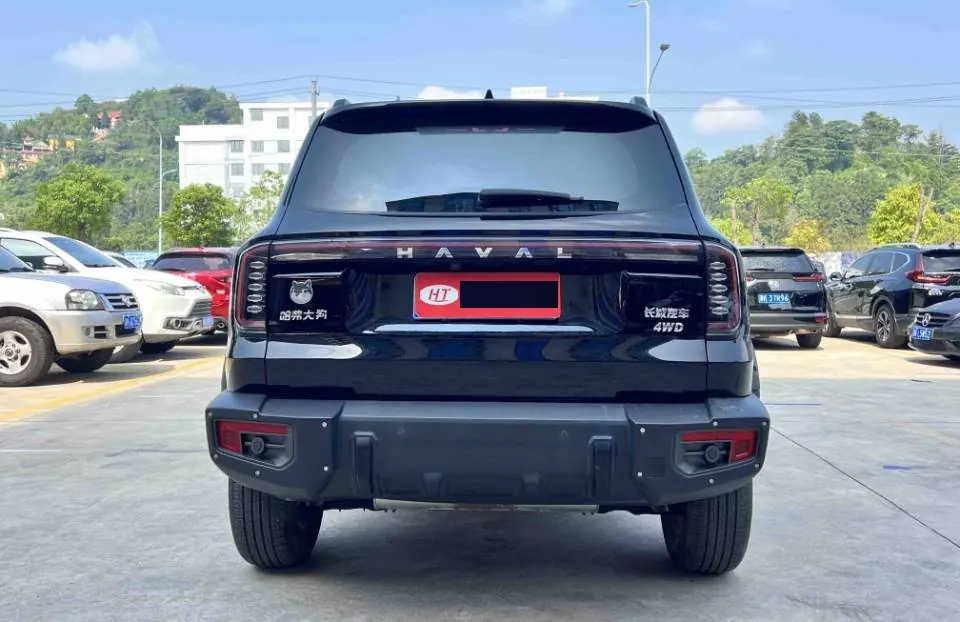 Haval 2024 big dog 2.0T Chinese garden dog version automatic gear 4