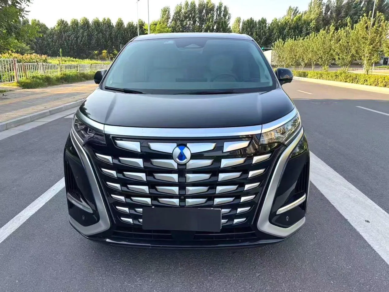 Denza 2022 Denza D9 DM-i 1.5T stepless 970 four-wheel drive flagship automatic gear 2