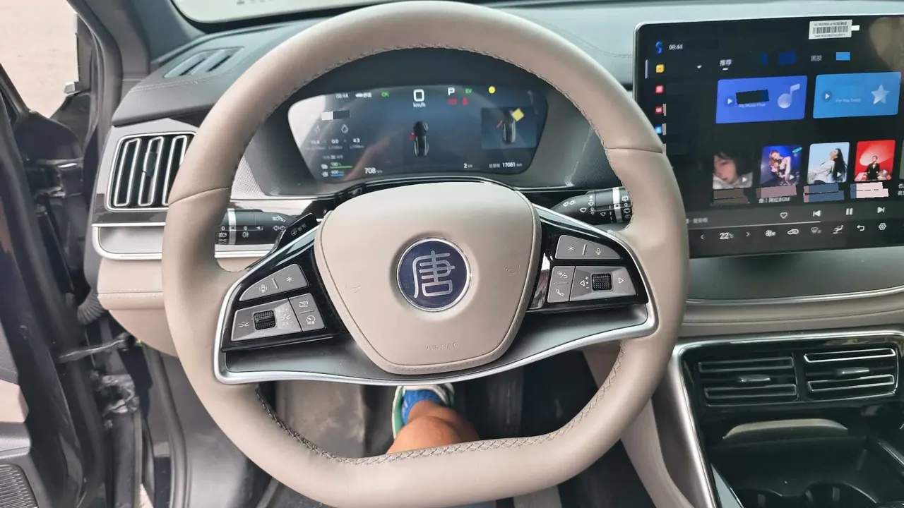 BYD Tang New Energy 2025 Tang DM-i 1.5T Stepless 115KM Honorable Automatic Gear 12