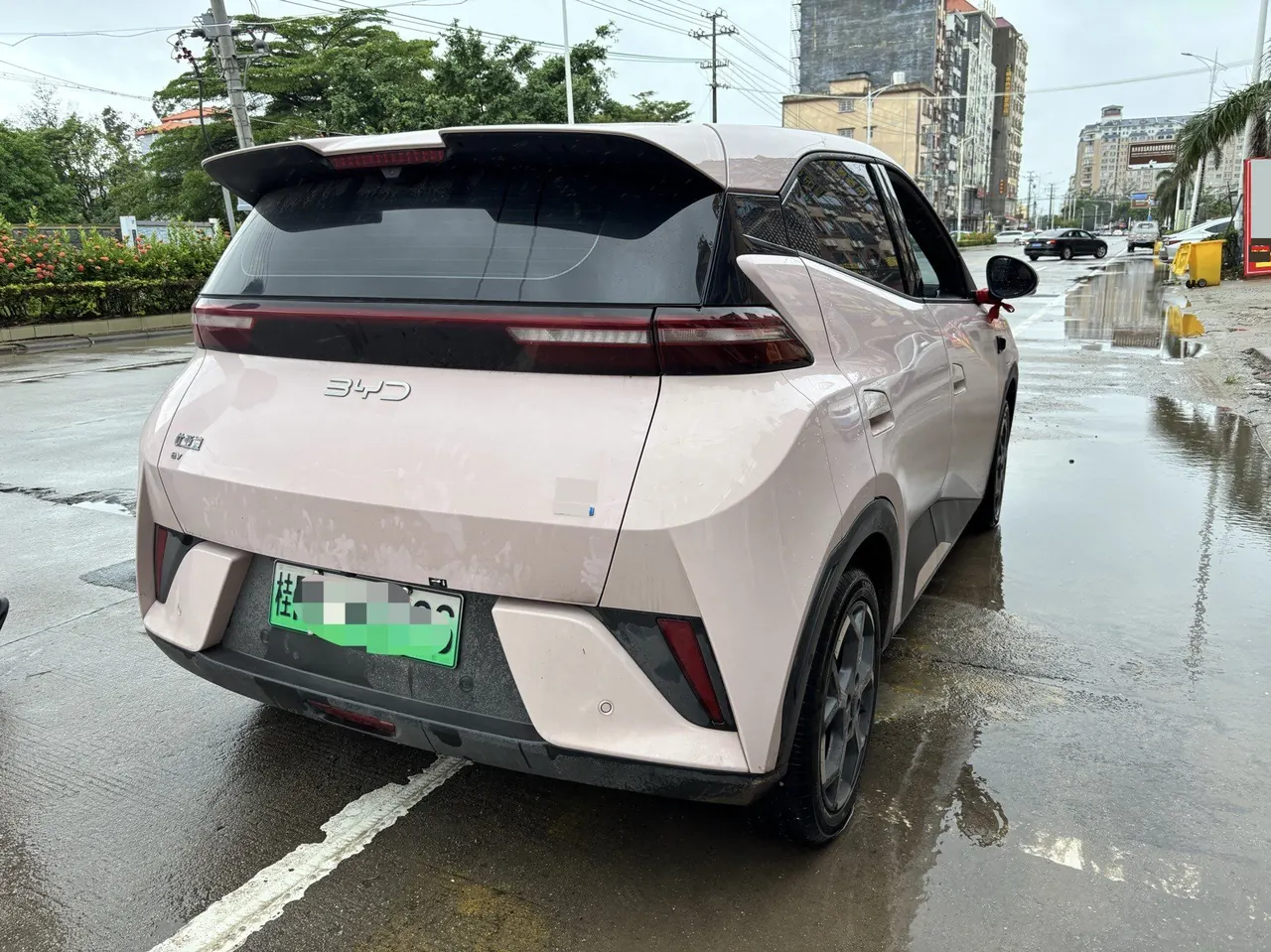 BYD 2025 Seagull Smart Driving Edition 305km Free Edition Automatic Gear 4