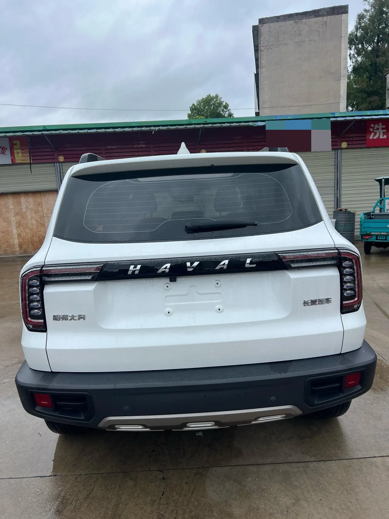 Haval 2021 Big Dogs 1.5T Border Animal Husbandry Wangcai Edition Automatic Gear 6