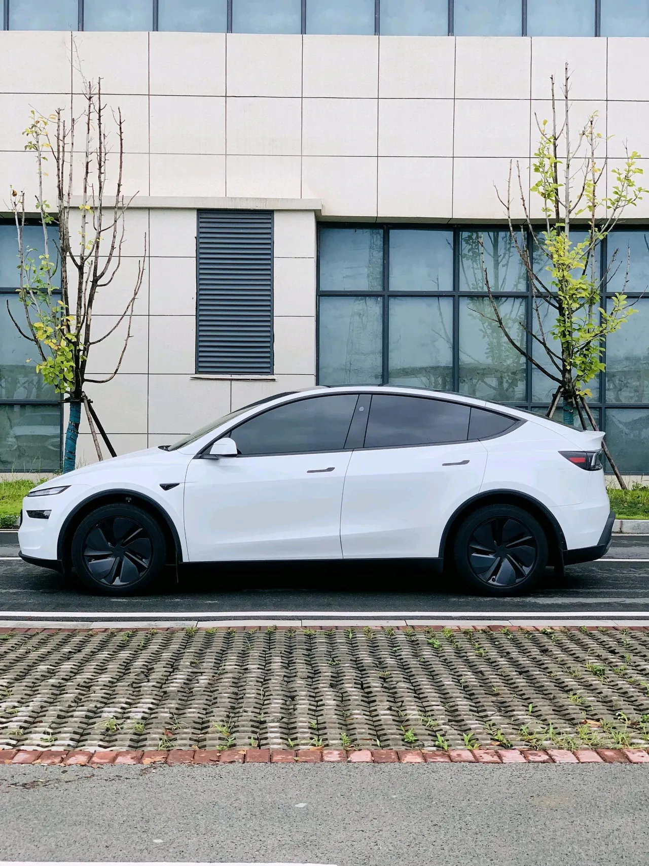 Tesla 2026 Model Y Rear-Wheel-Drive Automatic 10