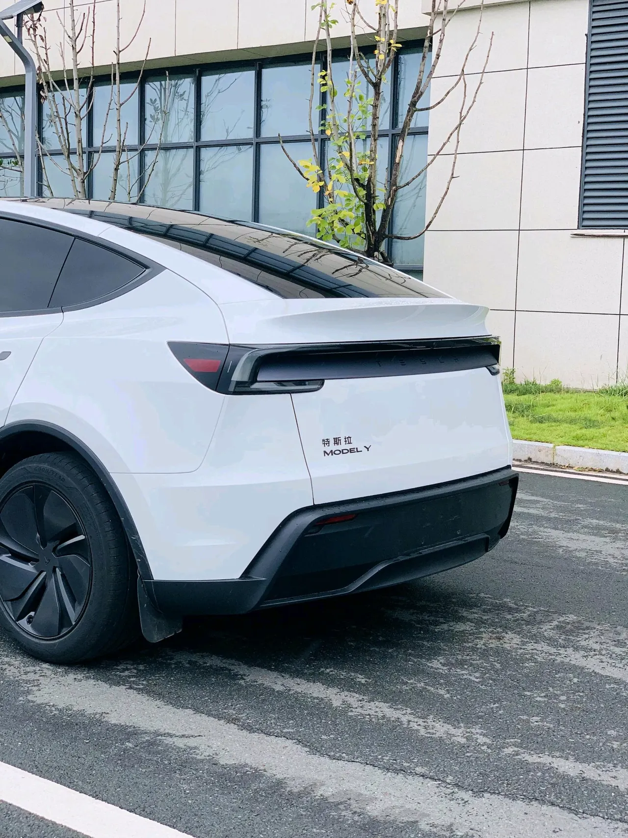 Tesla 2026 Model Y Rear-Wheel-Drive Automatic 4