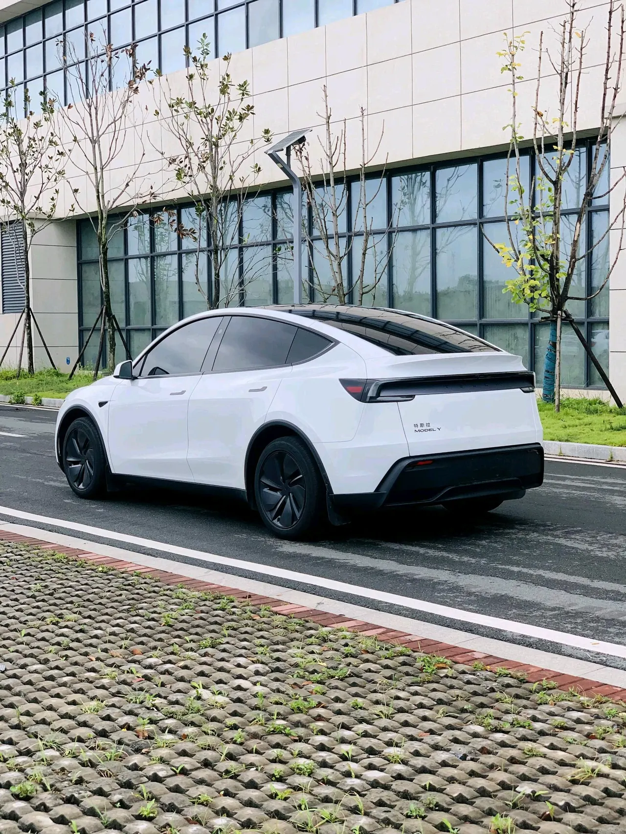 Tesla 2026 Model Y Rear-Wheel-Drive Automatic 7