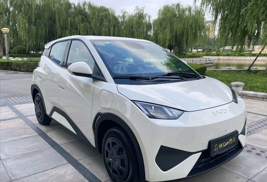 BYD 2026 seagulls 305km dynamic version of automatic gear 3