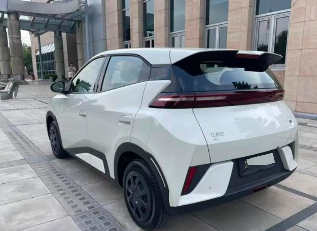 BYD 2026 seagulls 305km dynamic version of automatic gear 4