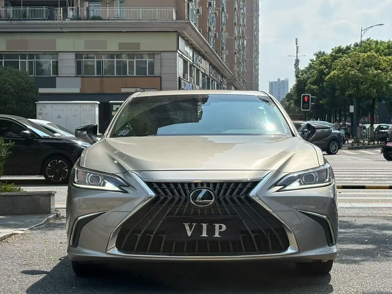 Lexus ES (Imported) 2022 ES300h 2.5 Stepless Excellence Edition Automatic Gear 3