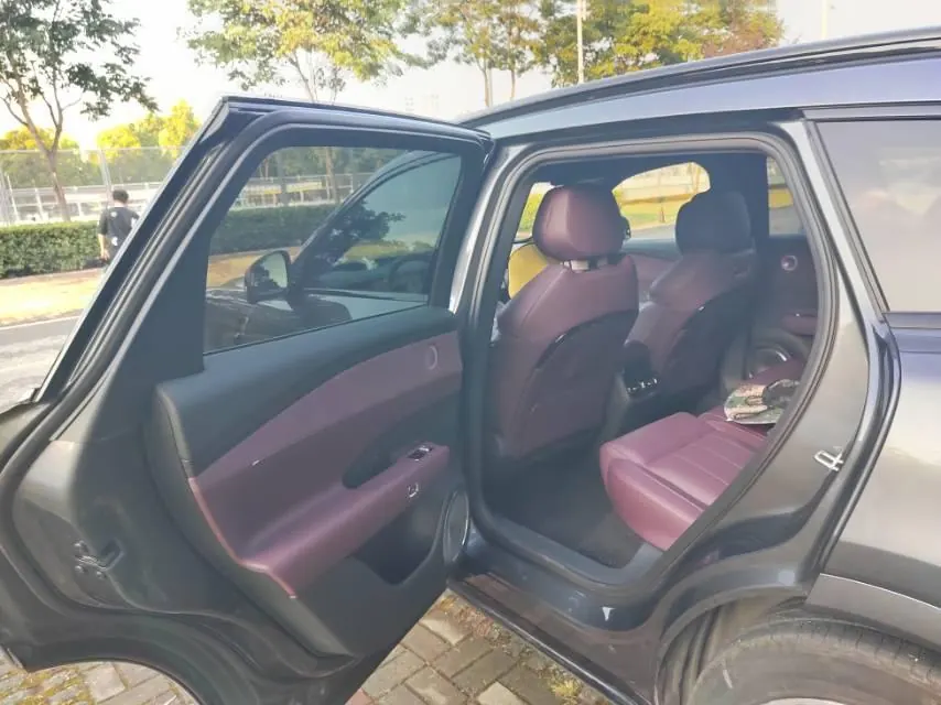Voyah 2025 FREE Rear Drive Dry Kun Edition Automatic Gear 5
