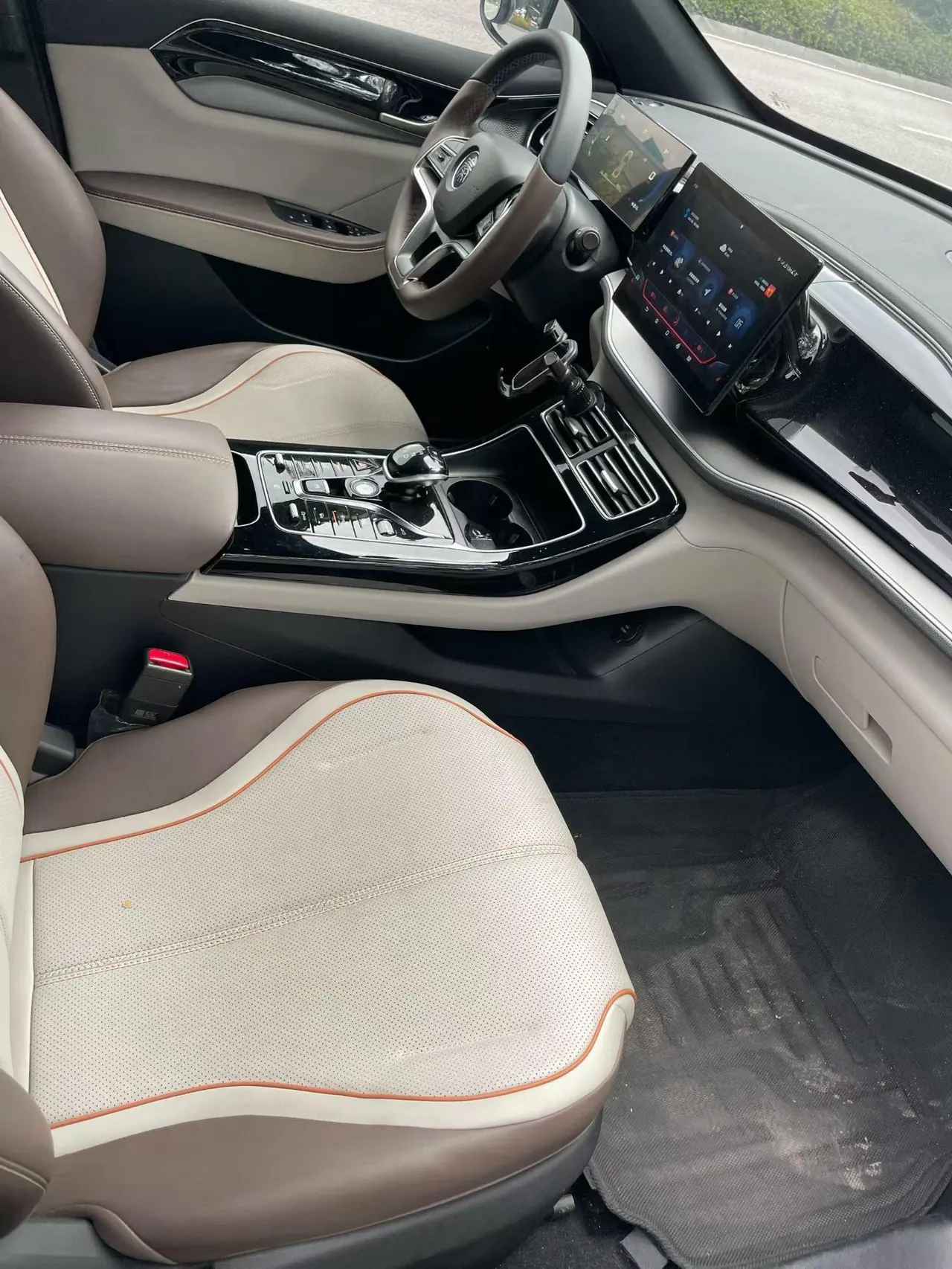 BYD 2023 Qin PLUS EV 420KM Champion Edition Exceed Automatic Gear 4