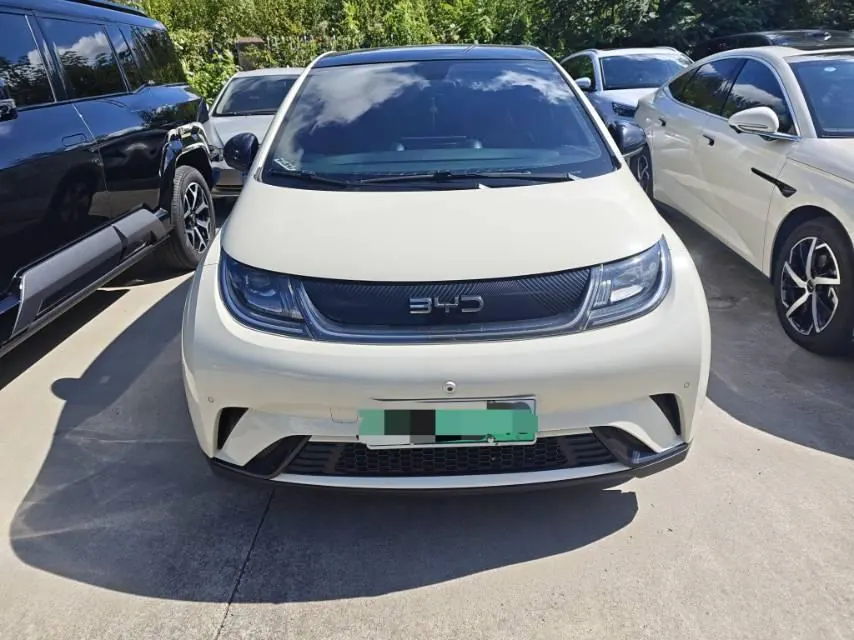 BYD 2024 Dolphin Glory Edition 420km Fashion Edition Automatic Gear 2