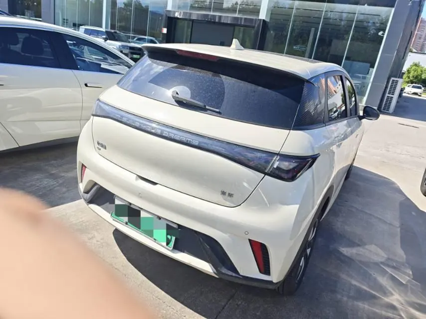 BYD 2024 Dolphin Glory Edition 420km Fashion Edition Automatic Gear 8