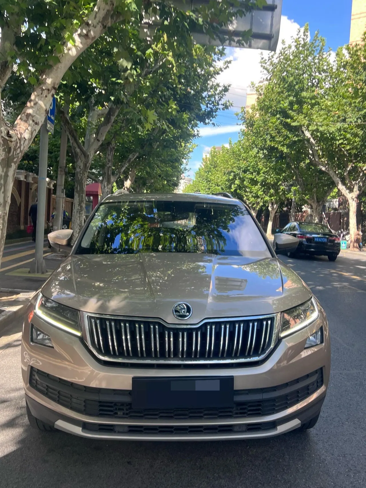 Skoda 2020 Kodiak 2.0TSI TSI 16500.00g Drive Deluxe Premium Edition 5-seat Automatic Transmission 2