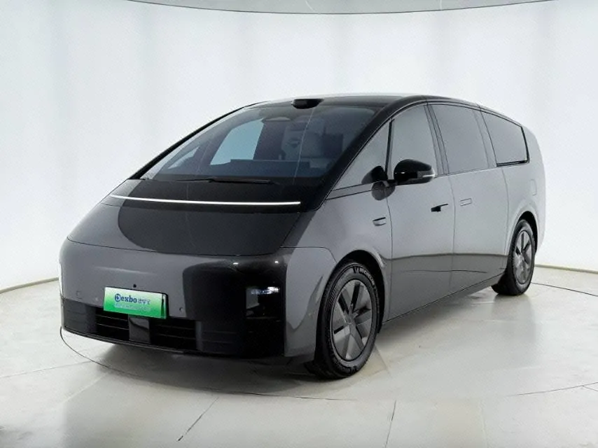Open image lightbox: Li 2025 MEGA Home Family Special Edition Automatic