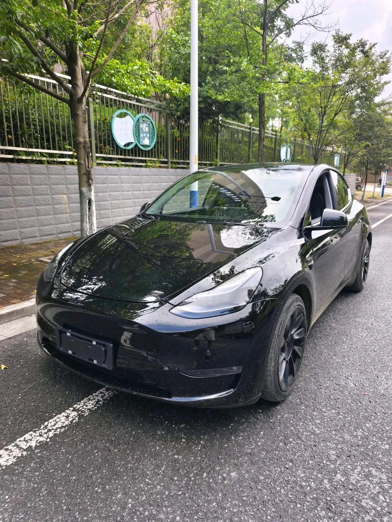 Open image lightbox: Tesla 2021 Model Y Standard Endurance Rear Drive Automatic Gear