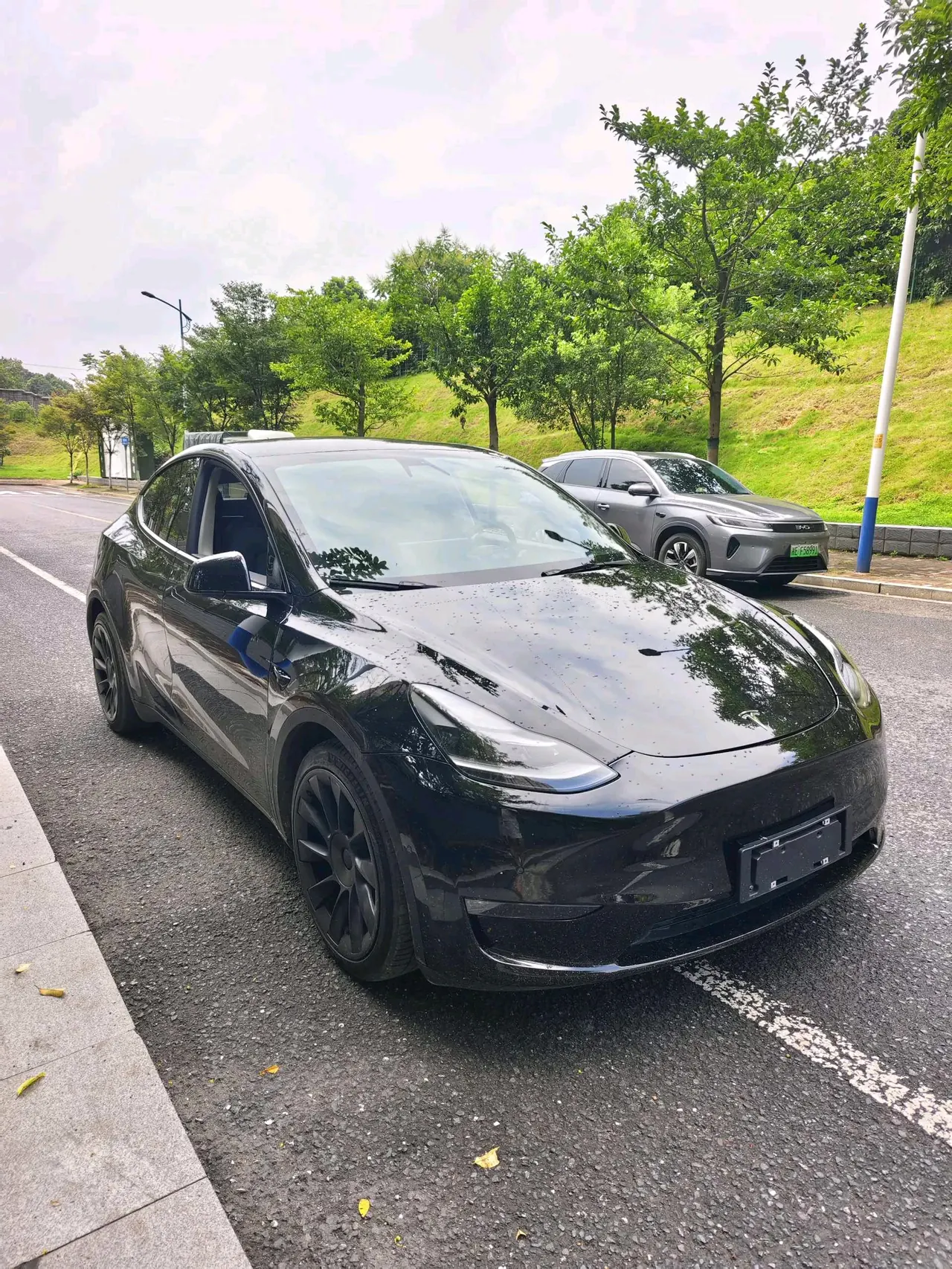 Tesla 2021 Model Y Standard Endurance Rear Drive Automatic Gear 5