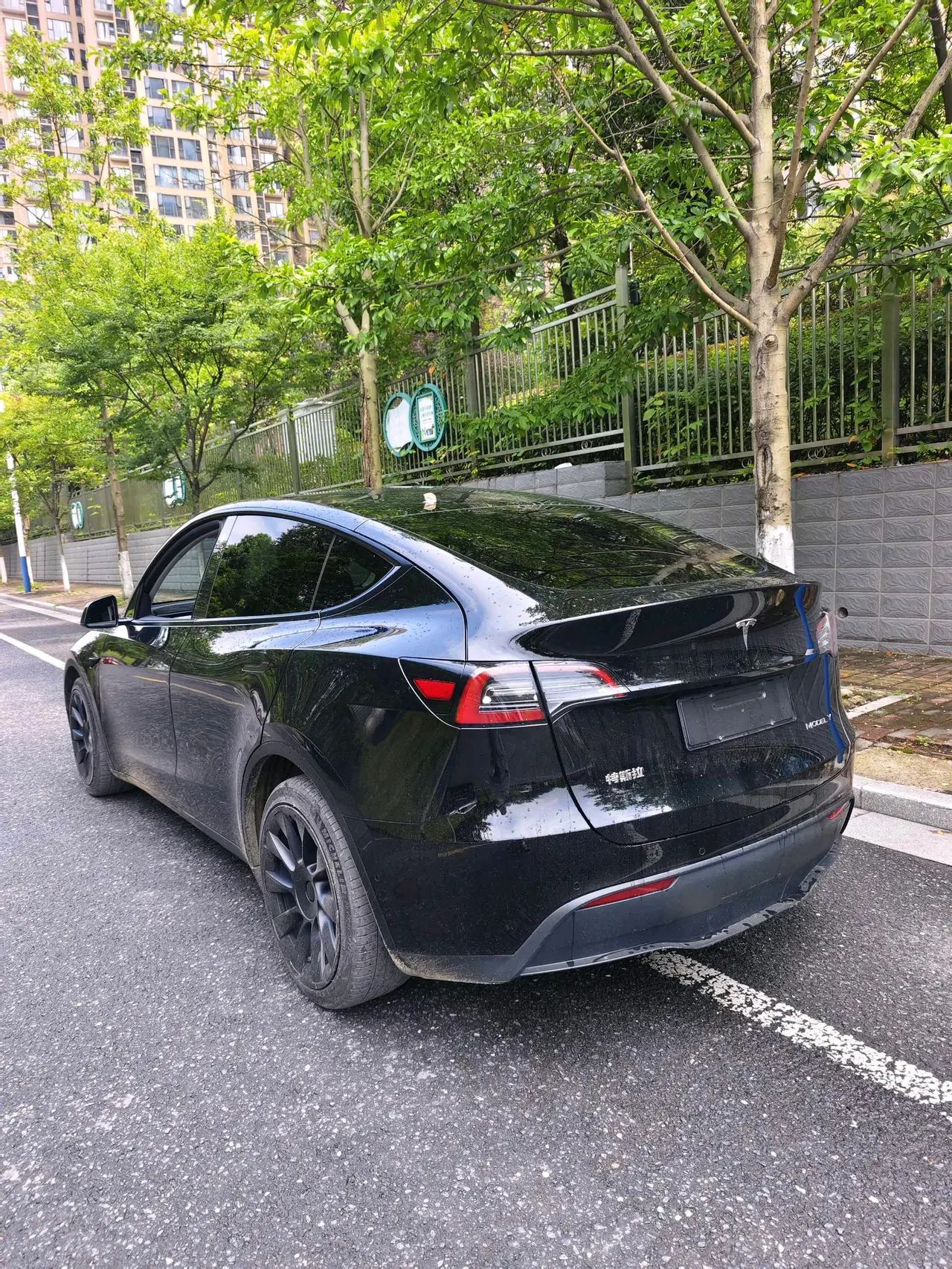 Tesla 2021 Model Y Standard Endurance Rear Drive Automatic Gear 6